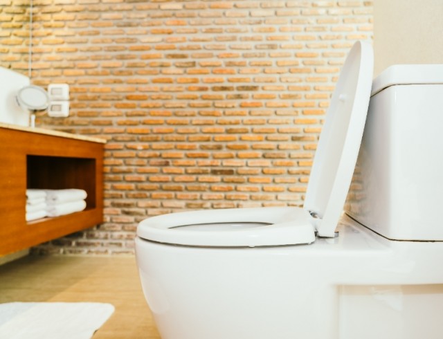 Billigt och glad: hur man rengör plack från en toalett med salt och tar bort avloppslukt