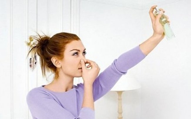 Den tvångsmässiga "lukten" i lägenheten kan tas bort en gång för alla: hur man blir av med lukten av ålderdom i huset - foto nr 1