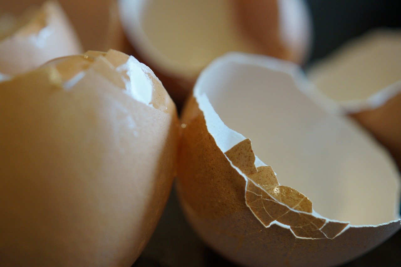 Min mamma har det BÄSTA tricket för att skala ägg: SKALET lossnar på en gång, insidan förblir helt intakt!