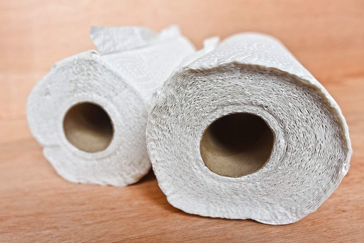När du köper toalettpapper, använd detta enkla knep: Rullen håller mycket längre!